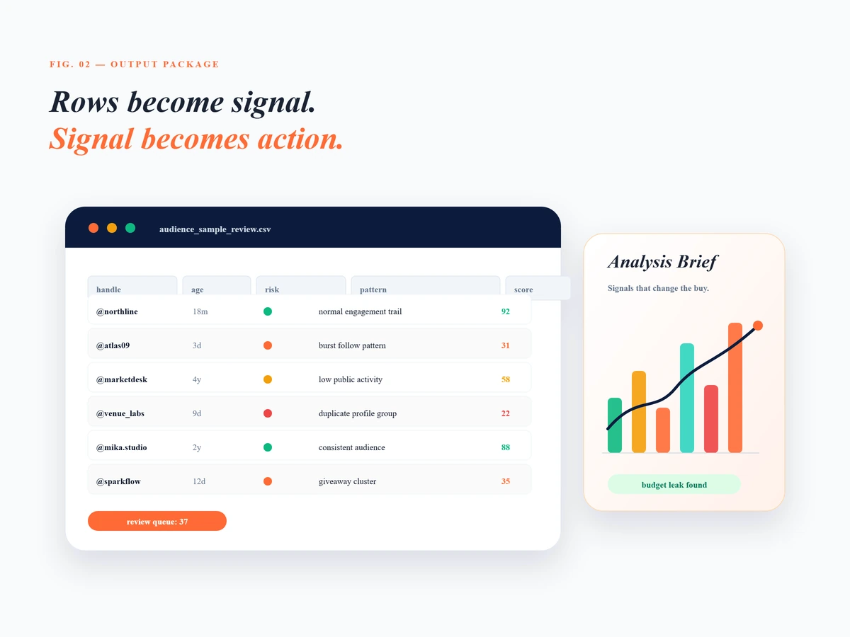Workbook and analysis dashboard turning follower rows into fraud signals.